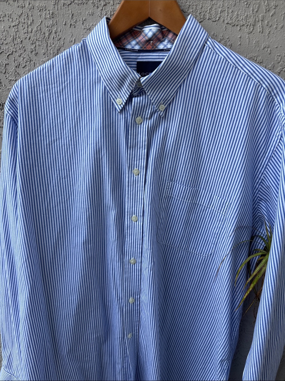 Lochlane Classic Blue and White Stripe Button-Down Shirt - Men